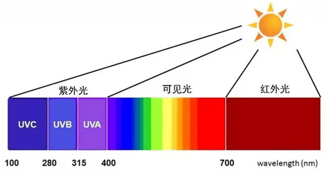 图片9